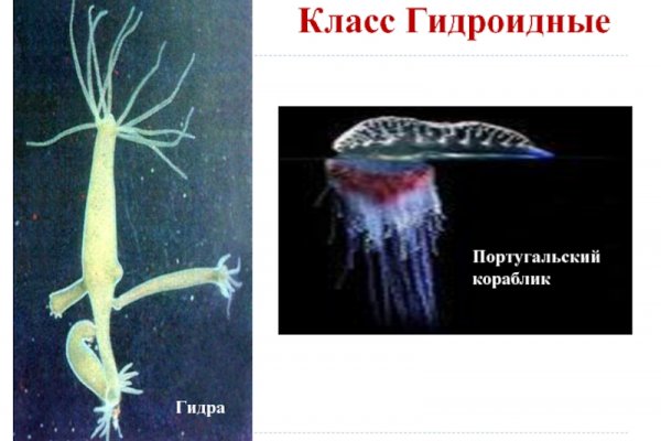 Kra28at